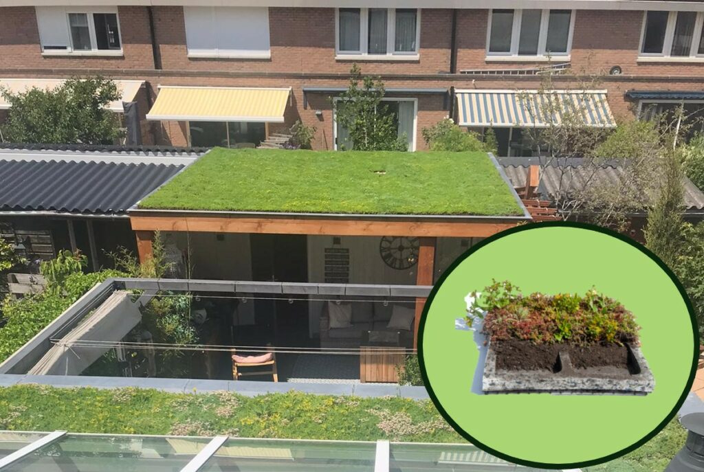 UWgroendak lichtgewicht Sedumtray